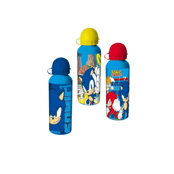 Cantimplora Sonic in Alluminio 500ml - Idrazione Dinamica e Divertente